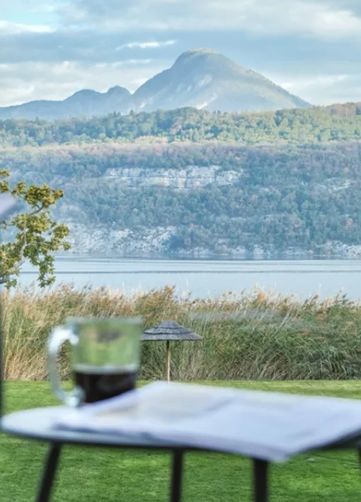 La vue de la Villa Caroline à Duingt 