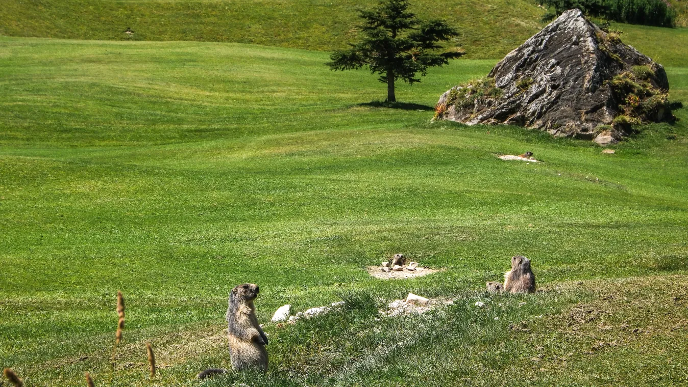 Randonnées à Tignes