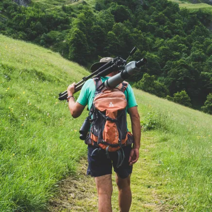 Balade en montagne