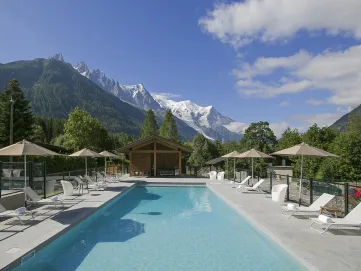 Vue Mont Blanc du Lizzie à Chamonix 